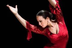 flavialuchenti-flamenco_04