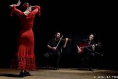 flavialuchenti-flamenco_07